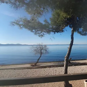 https://apartment-zadar-pine-diklo.hotelinzadar.com